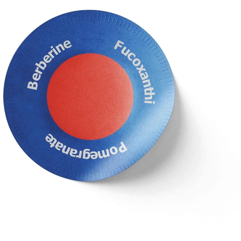 Purisaki berberine patches mnenja, cena, uporaba, sestavine in kje kupiti v lekarni Purisaki Berberine Patches - view 5